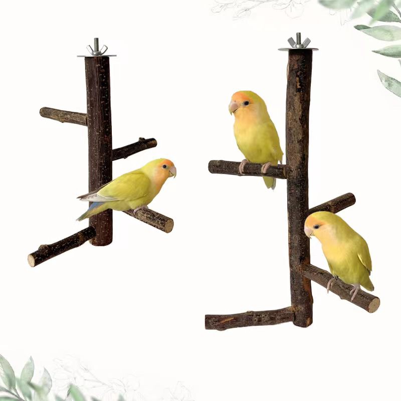 Desk Setup Apple - 1Pcs Natural Apple Tree Wood Bird