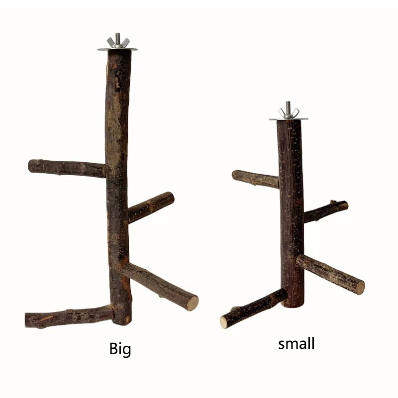 1Pcs Natural Apple Tree Wood B - Desk Setup Apple ulasan dan harga
