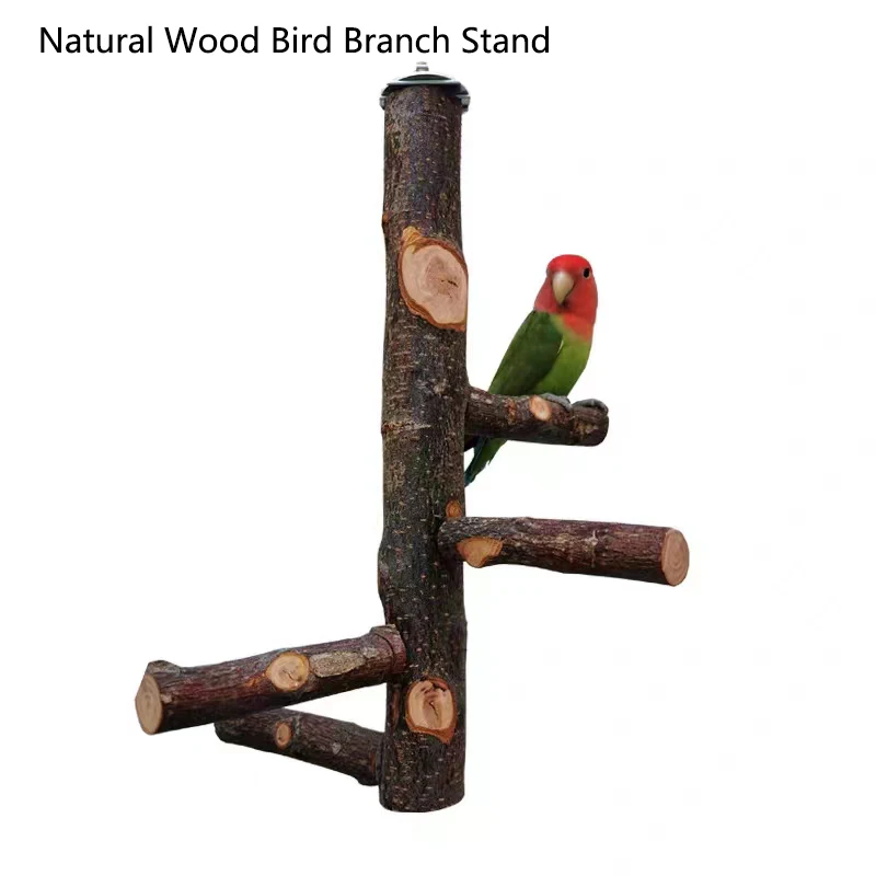 1Pcs Natural Apple Tree Wood B - Desk Setup Apple ulasan dan harga